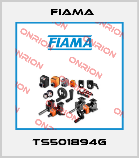 TS501894G Fiama