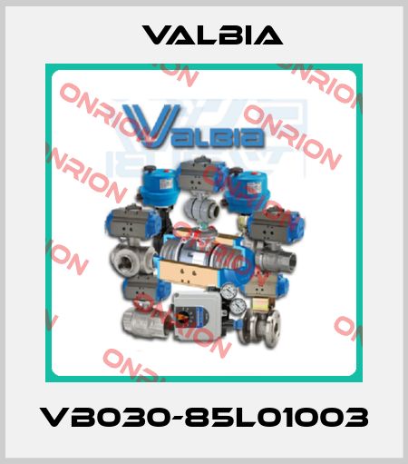 VB030-85L01003 Valbia