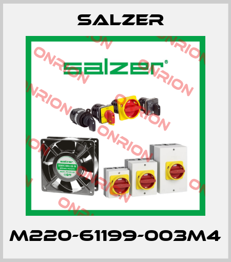 M220-61199-003M4 Salzer