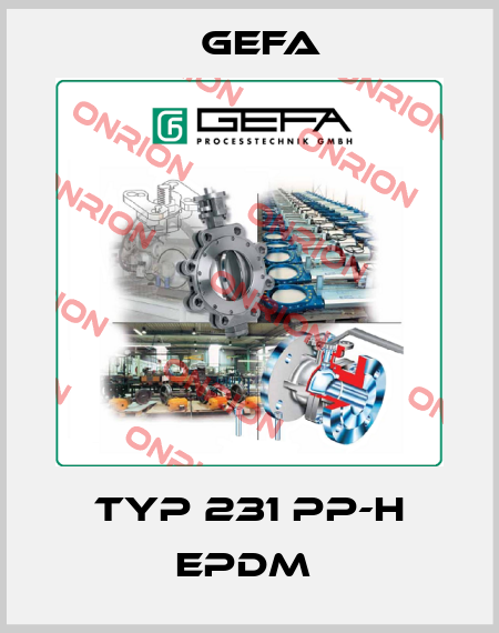 TYP 231 PP-H EPDM  Gefa