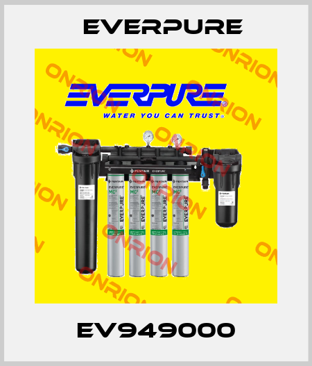 EV949000 Everpure
