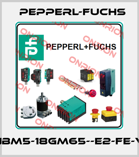 NBM5-18GM65--E2-FE-V Pepperl-Fuchs