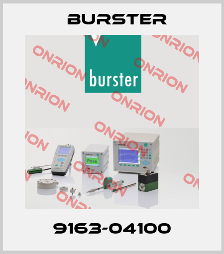 9163-04100 Burster