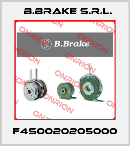F4S0020205000 B.Brake s.r.l.