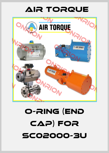 o-ring (end cap) for SC02000-3U Air Torque