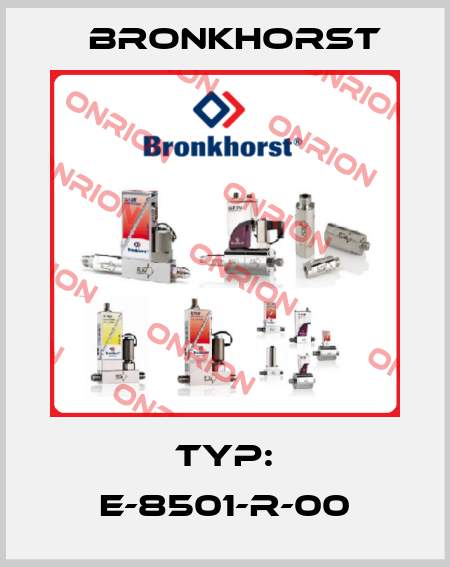 Typ: E-8501-R-00 Bronkhorst