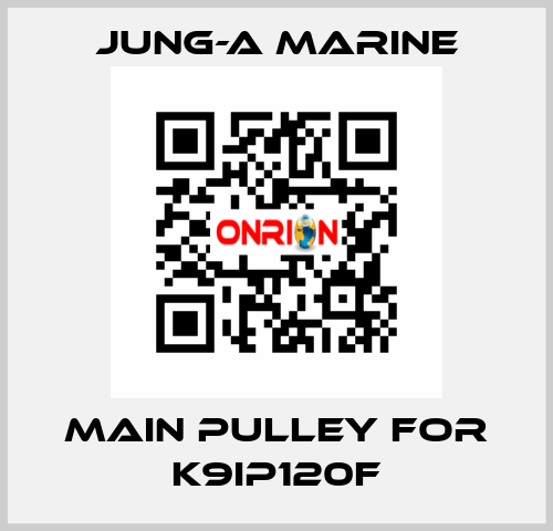 main pulley for K9IP120F JUNG-A MARINE