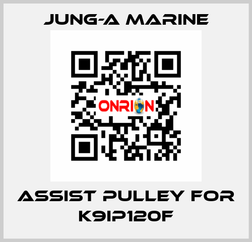 assist pulley for K9IP120F JUNG-A MARINE