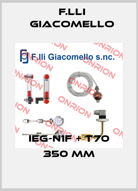 IEG-N1F + T70 350 mm F.lli Giacomello