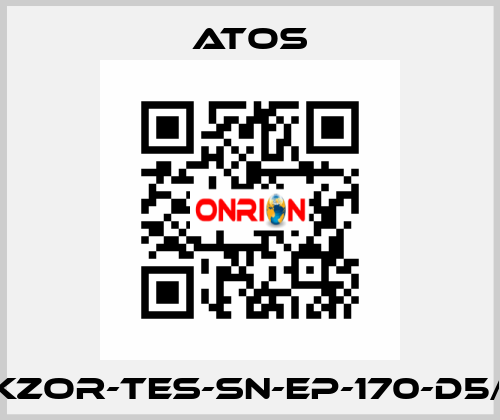 DKZOR-TES-SN-EP-170-D5/FI Atos