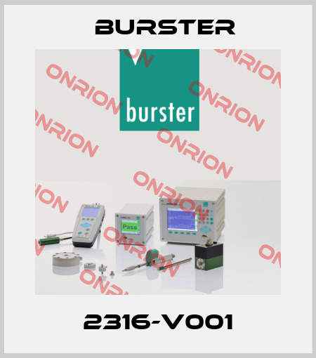 2316-V001 Burster