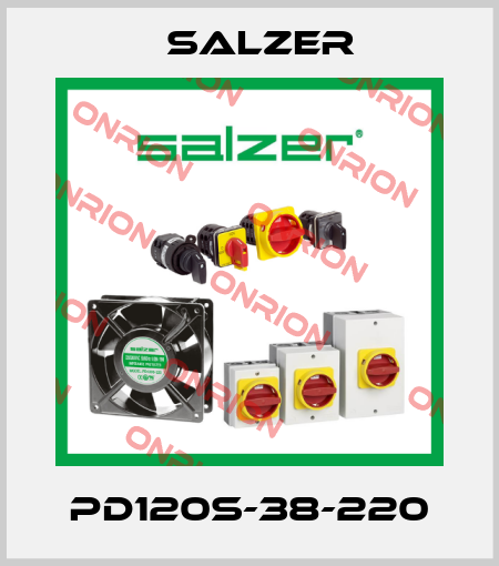 PD120S-38-220 Salzer