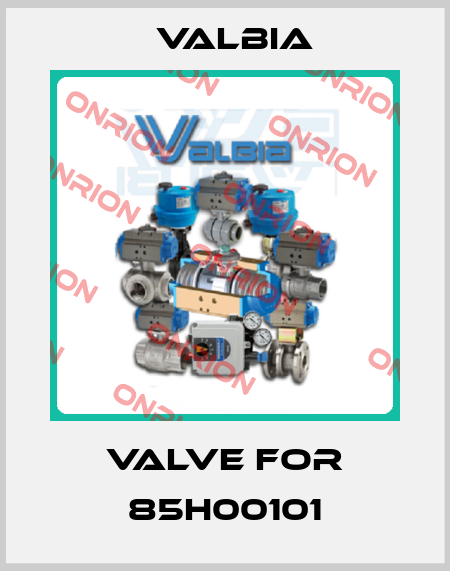 Valve for 85H00101 Valbia
