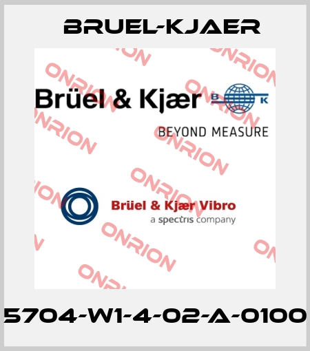 5704-W1-4-02-A-0100 Bruel-Kjaer