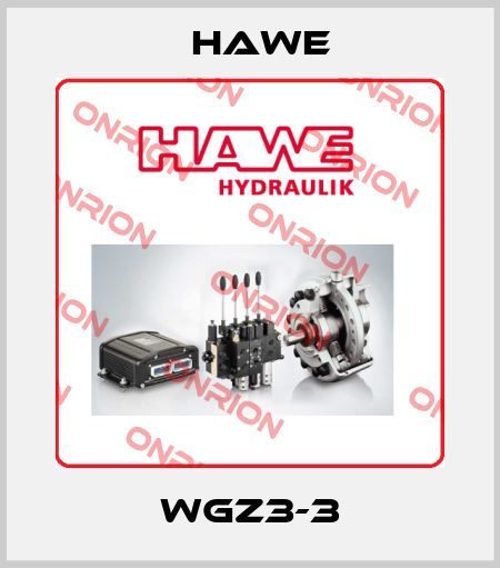 WGZ3-3 Hawe