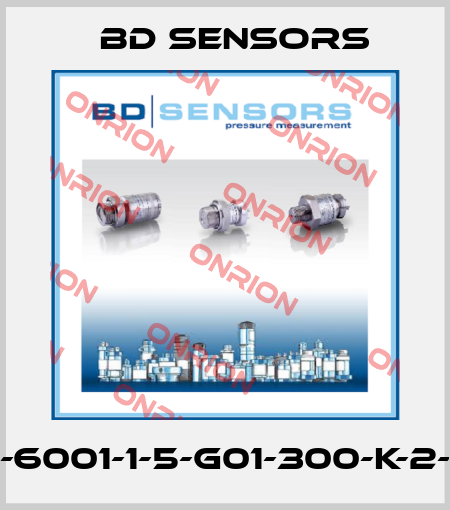 590-6001-1-5-G01-300-K-2-000 Bd Sensors