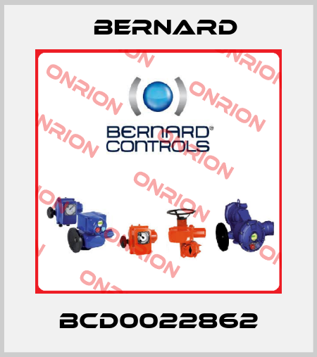 BCD0022862 Bernard