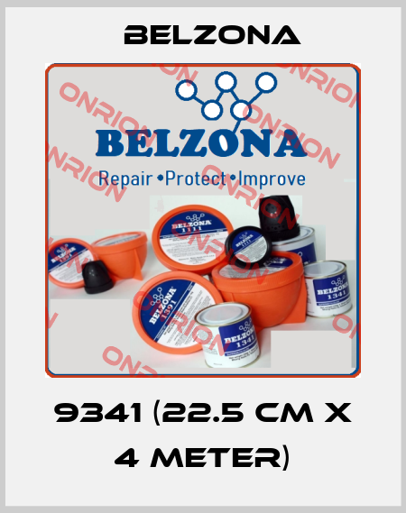 9341 (22.5 CM X 4 METER) Belzona