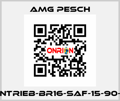 AMG-Antrieb-BR16-SAF-15-90-01-n=12 AMG Pesch