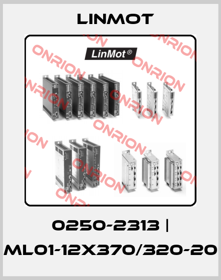 0250-2313 | ML01-12x370/320-20 Linmot