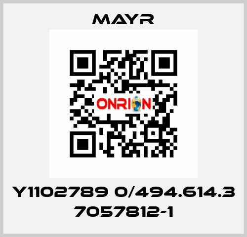 Y1102789 0/494.614.3 7057812-1 Mayr