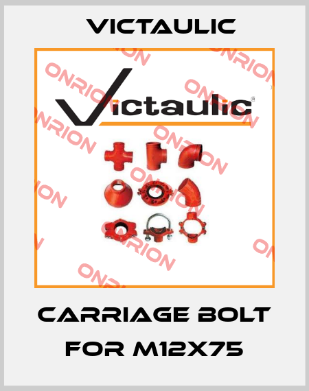 carriage bolt for M12x75 Victaulic