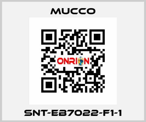 SNT-EB7022-F1-1 mucco