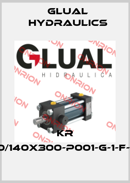 KR 200/140x300-P001-G-1-F-1-10 Glual Hydraulics