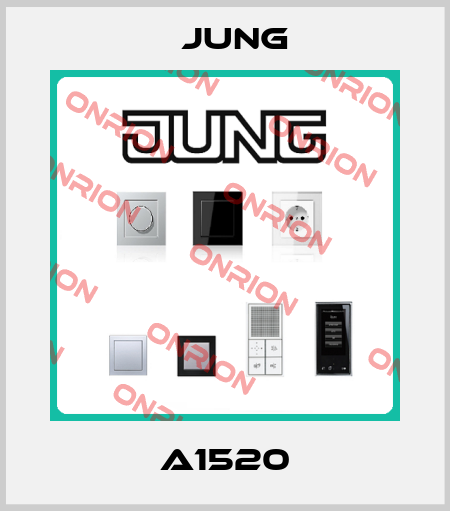 A1520 Jung