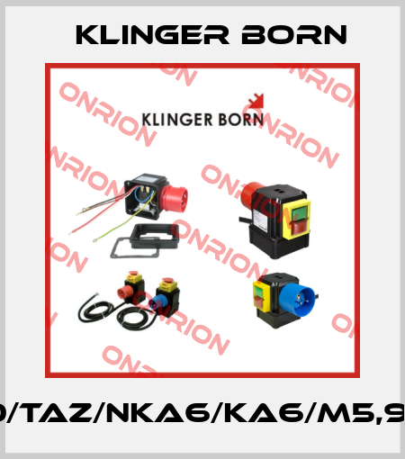 K900/TAZ/NKA6/KA6/M5,9A/KL Klinger Born