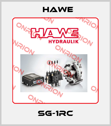 SG-1RC Hawe