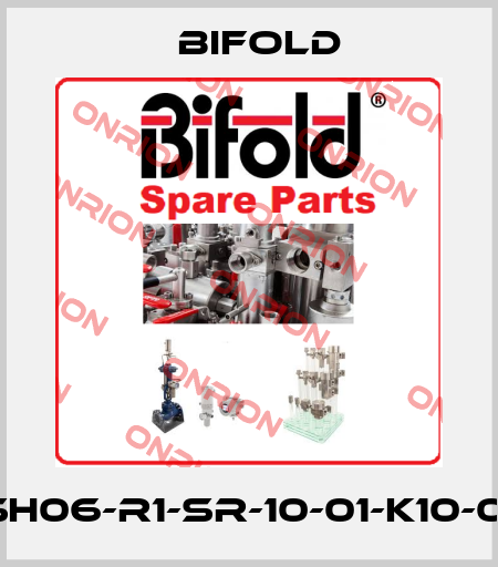 SH06-R1-SR-10-01-K10-01 Bifold