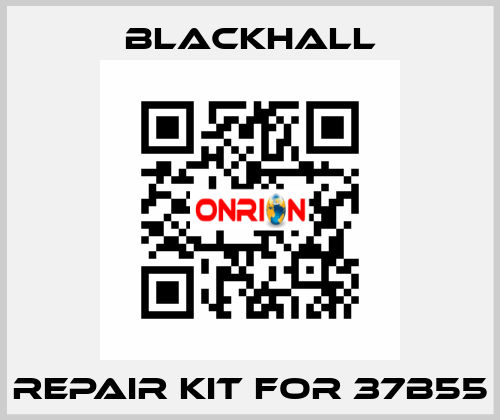 repair kit for 37B55 Blackhall