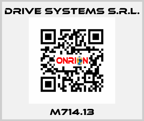 M714.13 DRIVE SYSTEMS s.r.l.