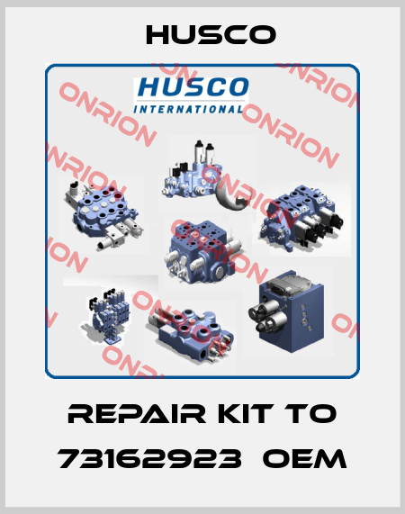 repair kit to 73162923  OEM Husco
