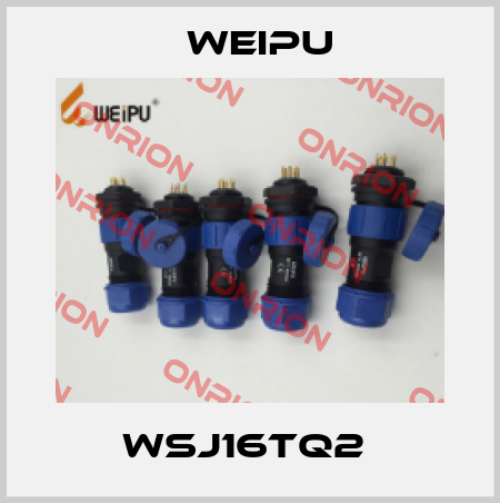 WSJ16TQ2  Weipu