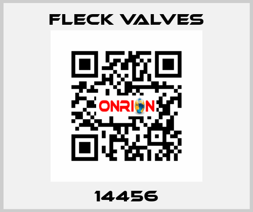 14456 Fleck Valves