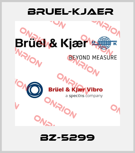 BZ-5299 Bruel-Kjaer