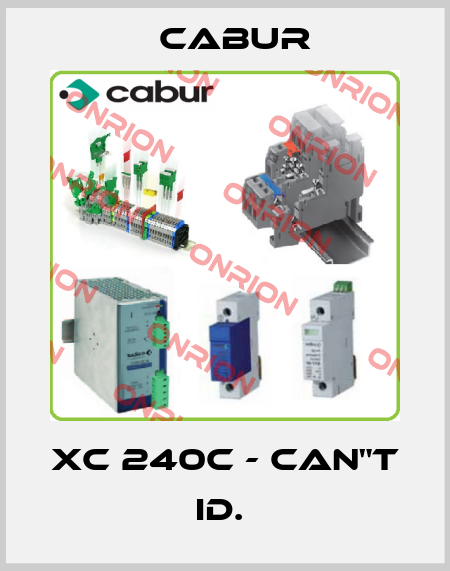XC 240C - CAN"T ID.  Cabur
