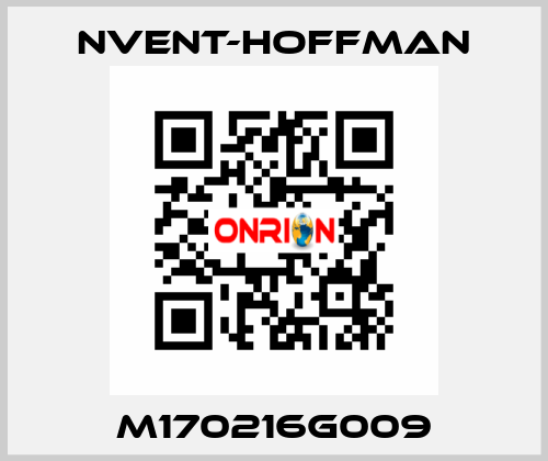 M170216G009 nVent-Hoffman