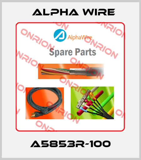A5853R-100 Alpha Wire