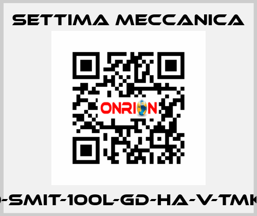 GR40-SMIT-100L-GD-HA-V-TMK-CSM Settima Meccanica