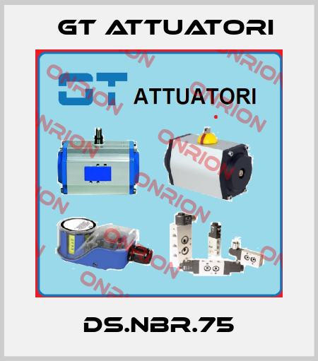 DS.NBR.75 GT Attuatori