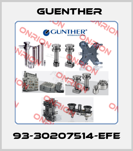 93-30207514-EFE Guenther