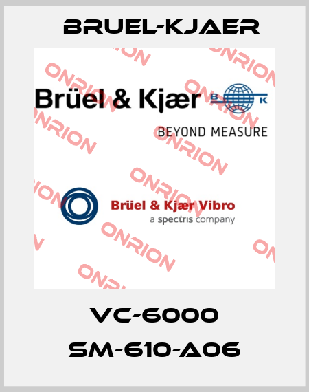 VC-6000 SM-610-A06 Bruel-Kjaer