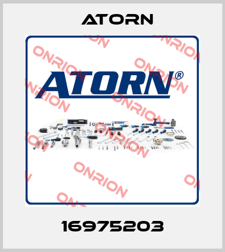 16975203 Atorn