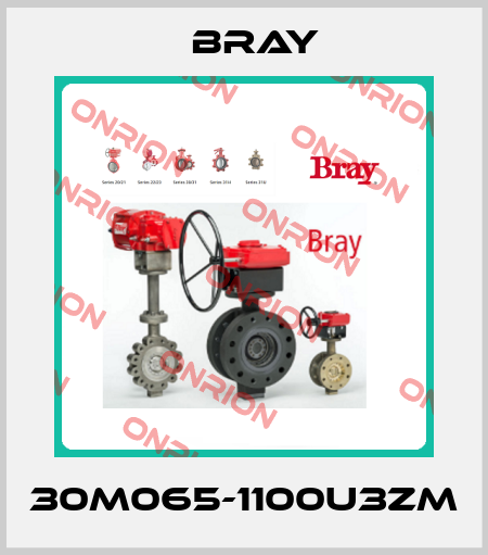 30M065-1100U3ZM Bray