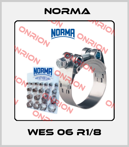 WES 06 R1/8 Norma