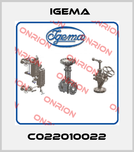 C022010022 Igema