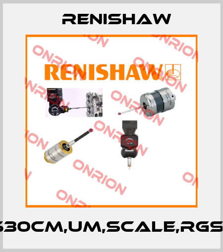 P/N:530cm,UM,Scale,RGS20-S Renishaw